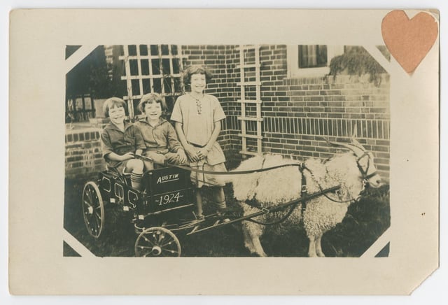 Austin kids travel in style with a goat cart - 1924