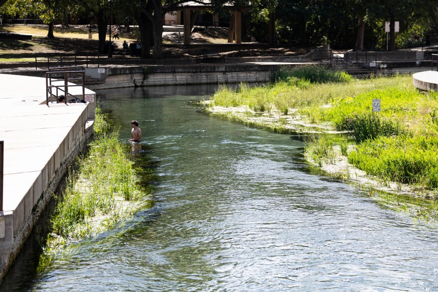 Bryden Chapman swims in the San Marcos River at Sewell Park.