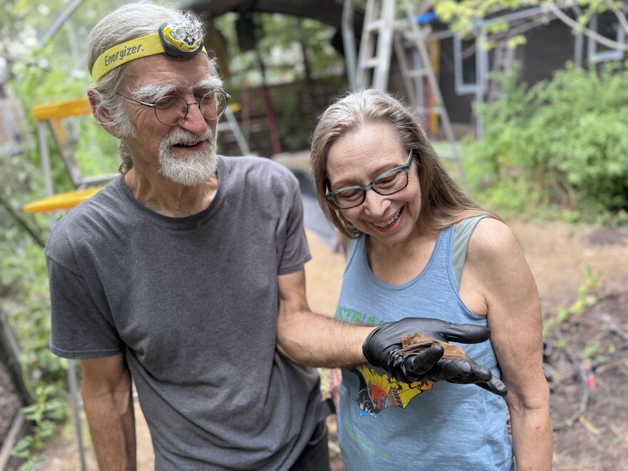 Lee Mackenzie and Dianne Odegard stand closely together, admiring a small bat that Mackenzie holds in his gloved hand. He is wearing a gray shirt and headlamp, has gray hair and a beard. The woman, in a sleeveless shirt, also wears glasses and looks happily at the bat.  