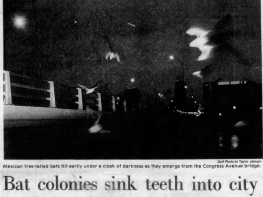 A dark, grainy photograph from the Austin American-Statesman showing Mexican free-tailed bats flying at night as they emerge from beneath the Congress Avenue Bridge in Austin. The silhouettes of bats are faintly visible against the dark sky. Below the image, a newspaper caption reads: “Bat colonies sink teeth into city.”