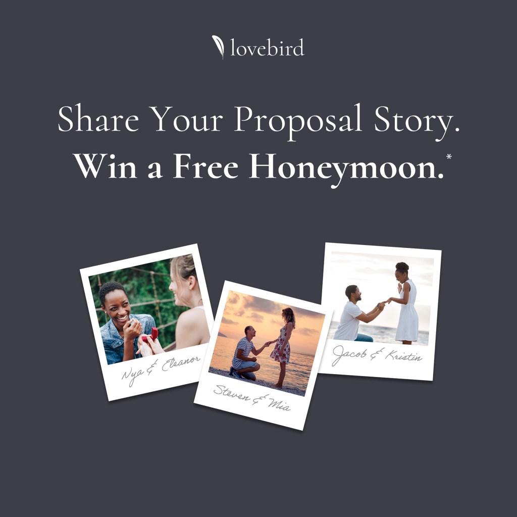 Lovebird Proposal Story Promotion