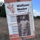 What’s the deal with the WANTED signs at Mary Moore Park in South Austin? 