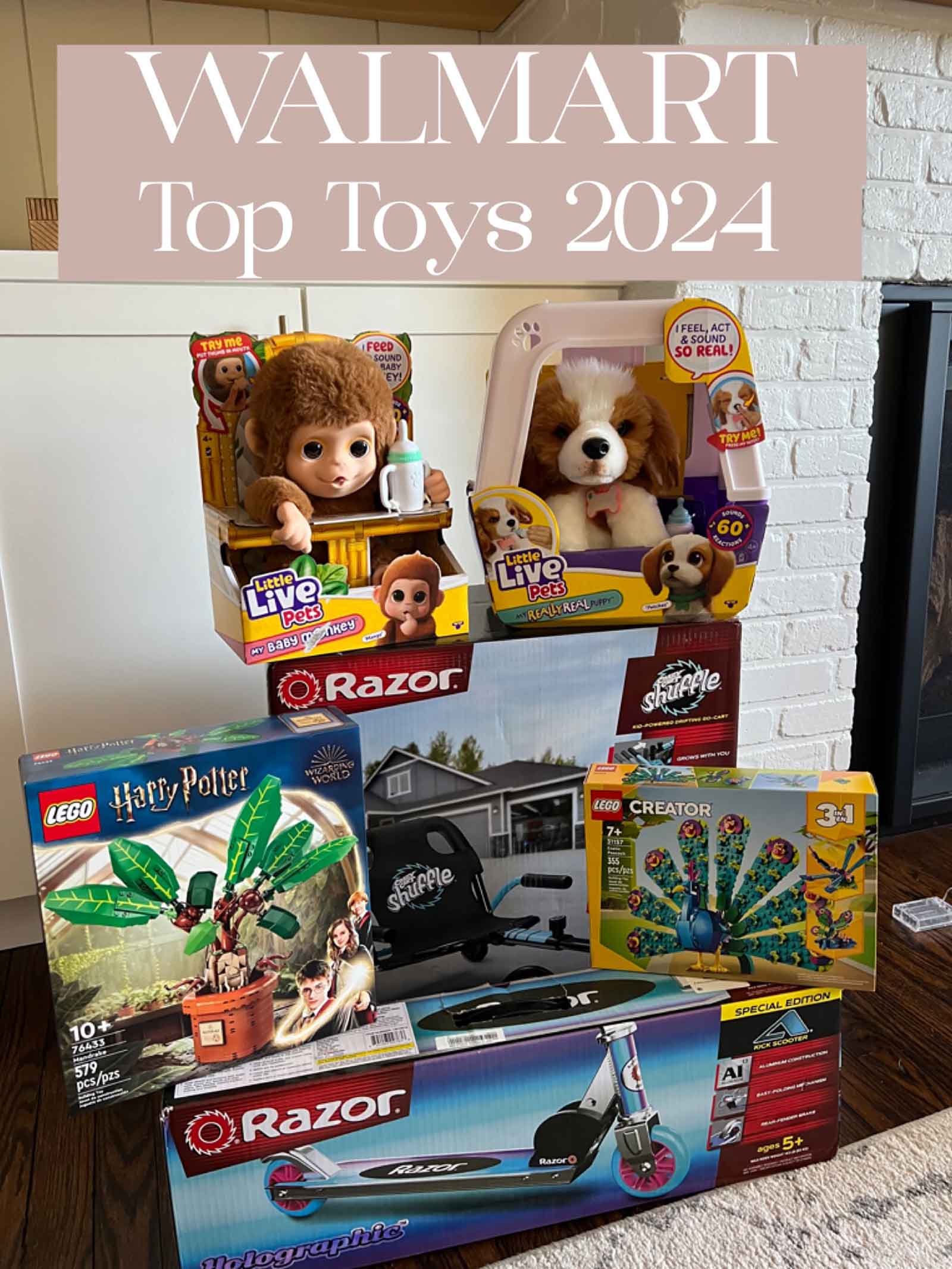 Walmart Top Toys 2024