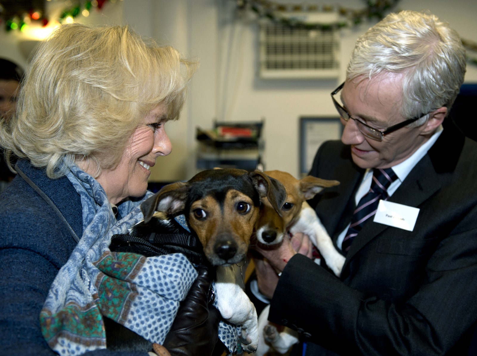 Image may contain Paul O'Grady Clothing Coat Jacket Adult Person Accessories Formal Wear Tie Animal and Canine