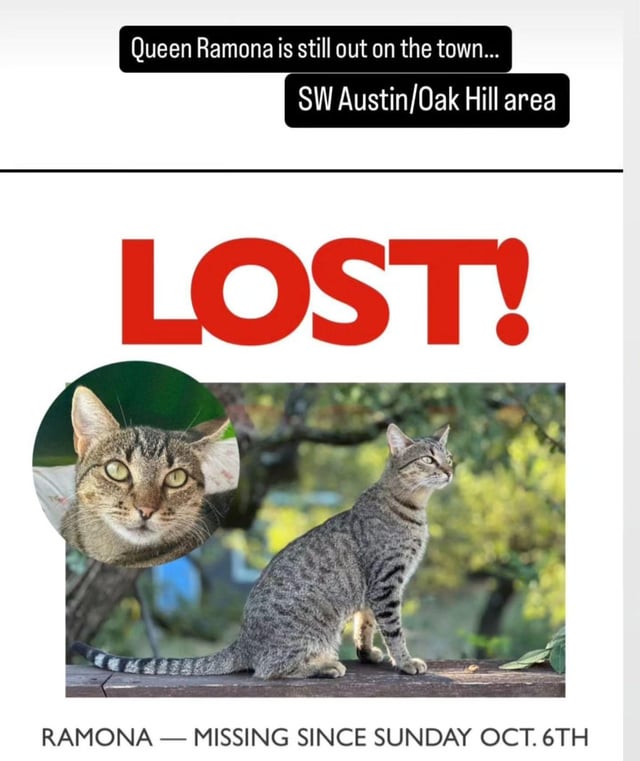 A friend needs help finding her cat