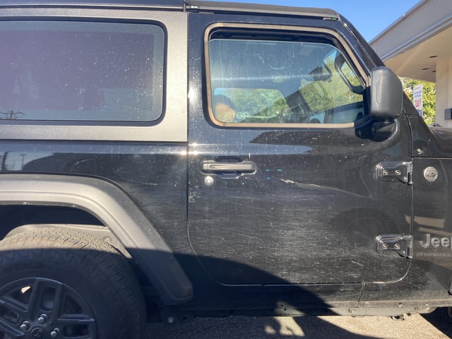 Please don&rsquo;t leave a dog in the sun in a car! 