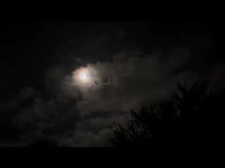 Emma Long wildlife right now Emma Long wildlife right now