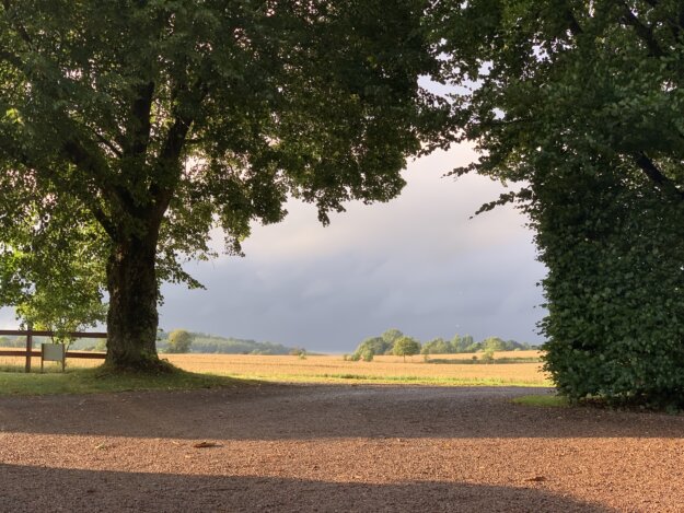 Sunlight on a meadow through trees in southern Sweden