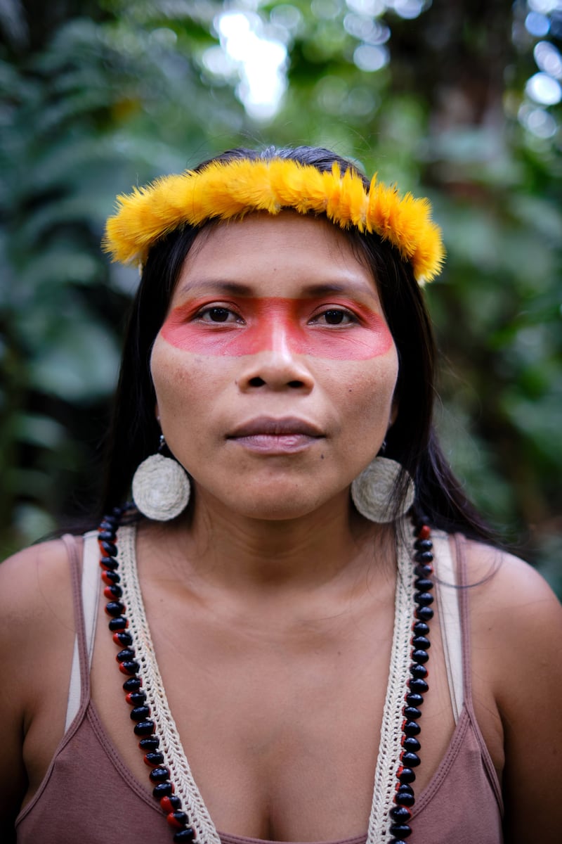 Nemonte Nenquimo, is a Waorani leader and the co-founder of both the Indigenous-led non-profit Ceibo Alliance.