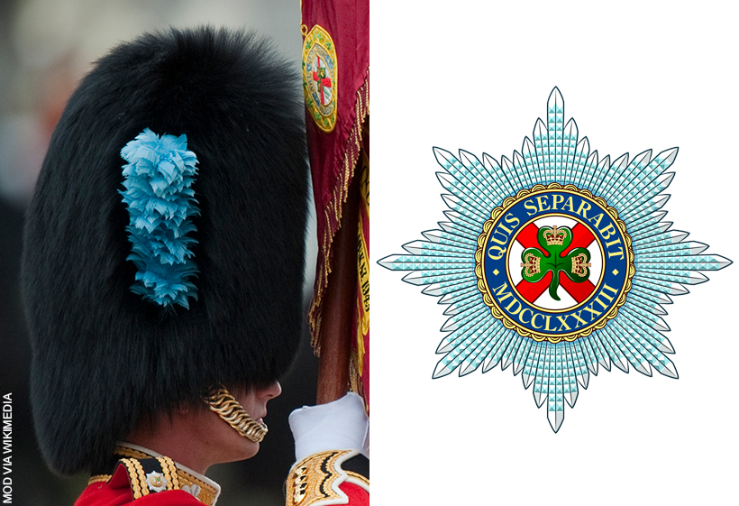 Irish Guards Teal Blue Plume in Bearskin Hat, and Regimental Badge