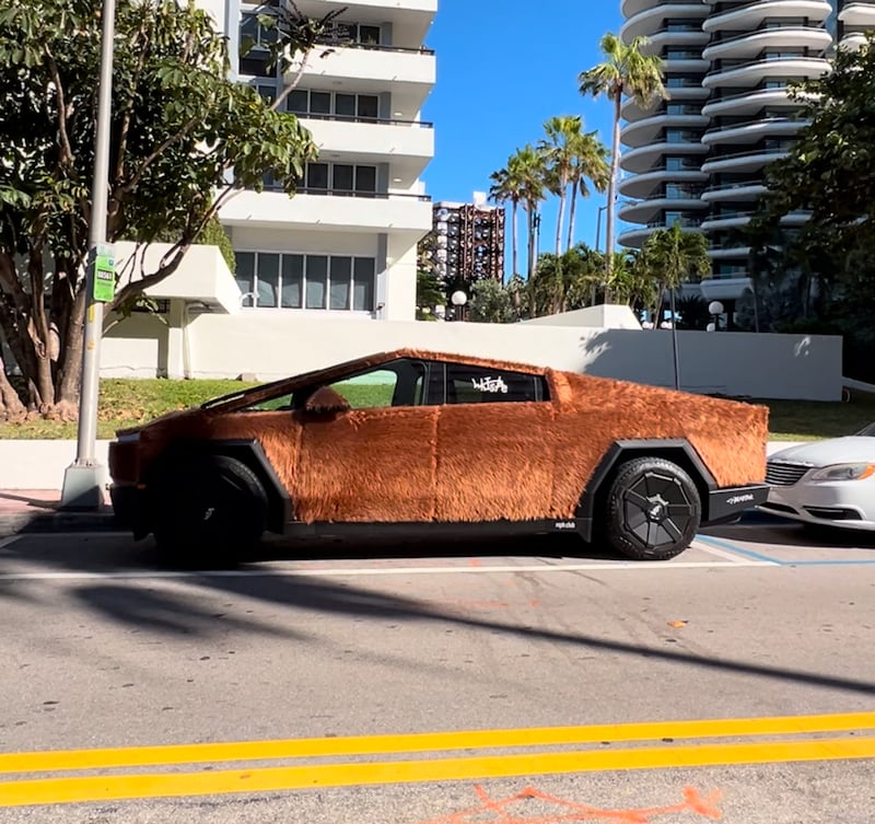 Backgrounded by Miami palm trees and high-rises, a Tesla Cybertruck is pictured parked on a street. Its sleek body is covered in a golden-brown fur.