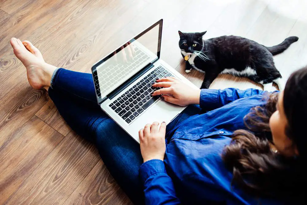 Plus size woman on a computer